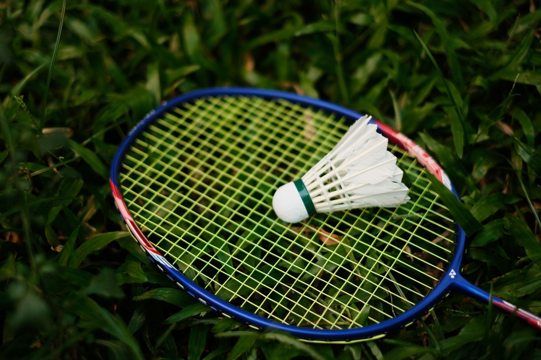 Badminton 6