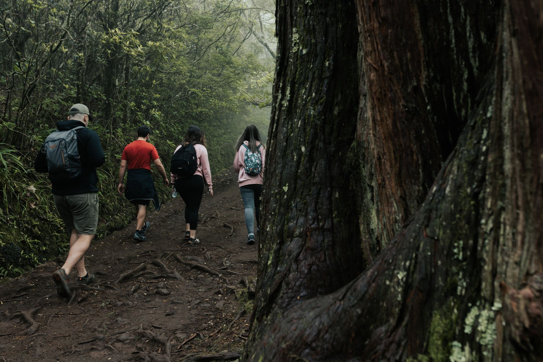 Hiking 5